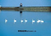 阿依库勒（西月潭）景区