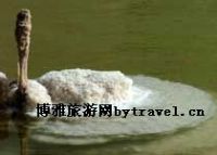 新疆盐湖