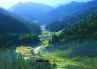 巴尔鲁克山原始森林公园风景区