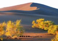 昌吉华景园