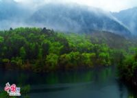 青峰峡森林公园