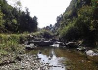 宁强草川子风景区