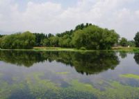 稻香湖