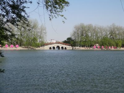 八一湖