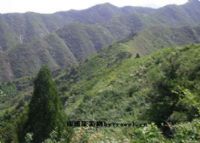 石鼓山