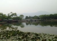 丁香园