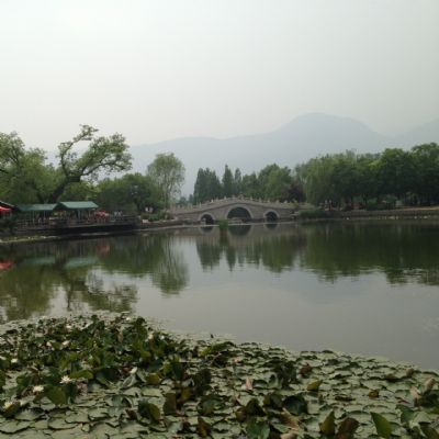 丁香园