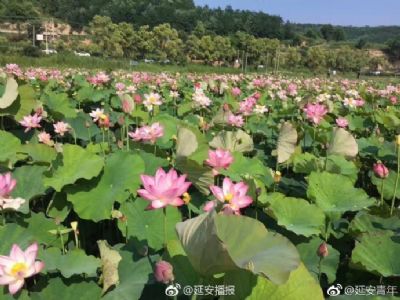 延安南泥湾国家湿地公园