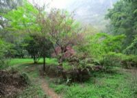 鹅山公园