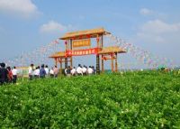 横州中华茉莉园