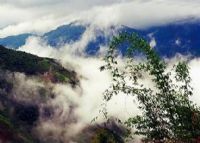 那坡白云山原始森林公园