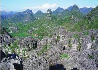 马山金钗石林