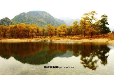 和平森林公园