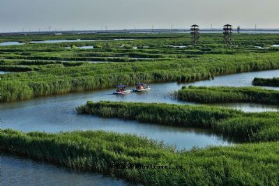 曹妃甸湿地迷宫