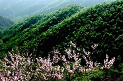 孝义孝河国家湿地公园