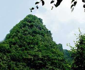 安泰山