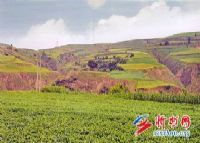 堡子梁遗址