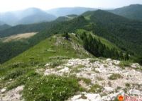 金山梁