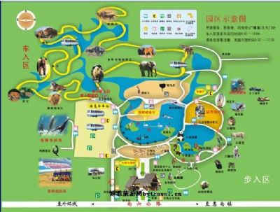 上海野生动物园