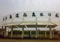 上海滨海森林公园