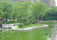 太平桥绿地