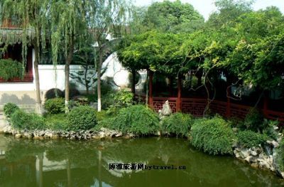 古藤园