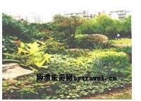 三泉公园