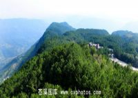 苍溪九龙山森林公园
