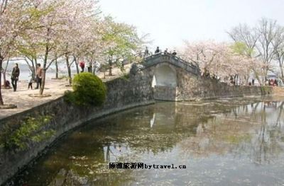 东林山