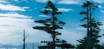 萝峰晴云