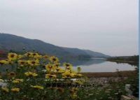 海塔景区