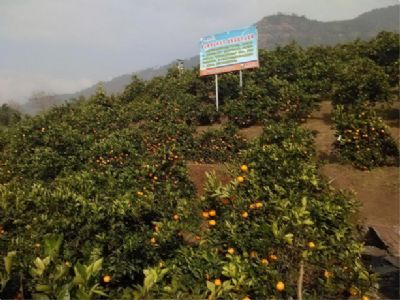 绿周富硒百果博览园