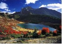 莫木沟