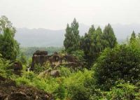 寻龙山风景区
