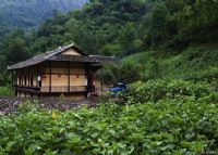 大巴山森林人家