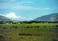 达通玛大草原