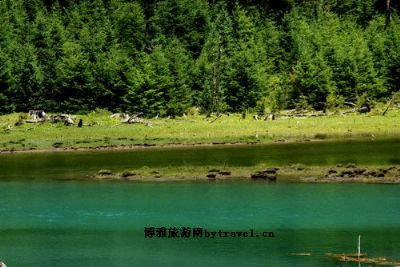 荷花海国家森林公园