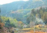 崇嘏山