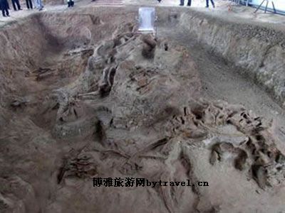 山阳岭恐龙化石遗址