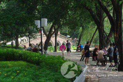 大渡口公园