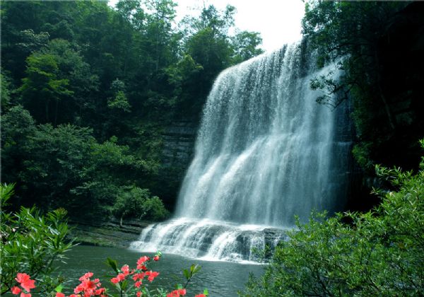 黄荆老林景区