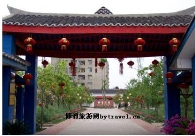 银杏花园