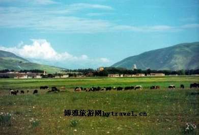 达通玛大草原