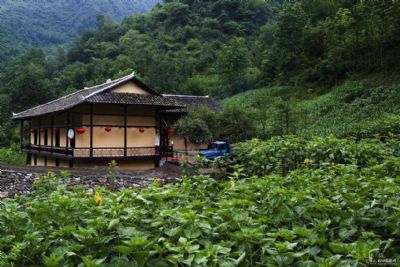 大巴山森林人家