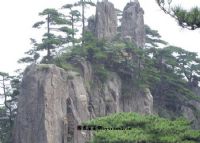 白鹅岭