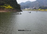 深渡镇