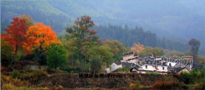 洪山寨旅游区