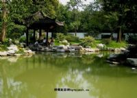井泉中药植物园