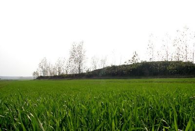 浮山堰遗址