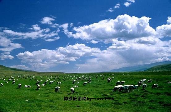 那拉提旅游风景区